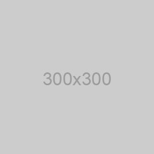 Backend Developer